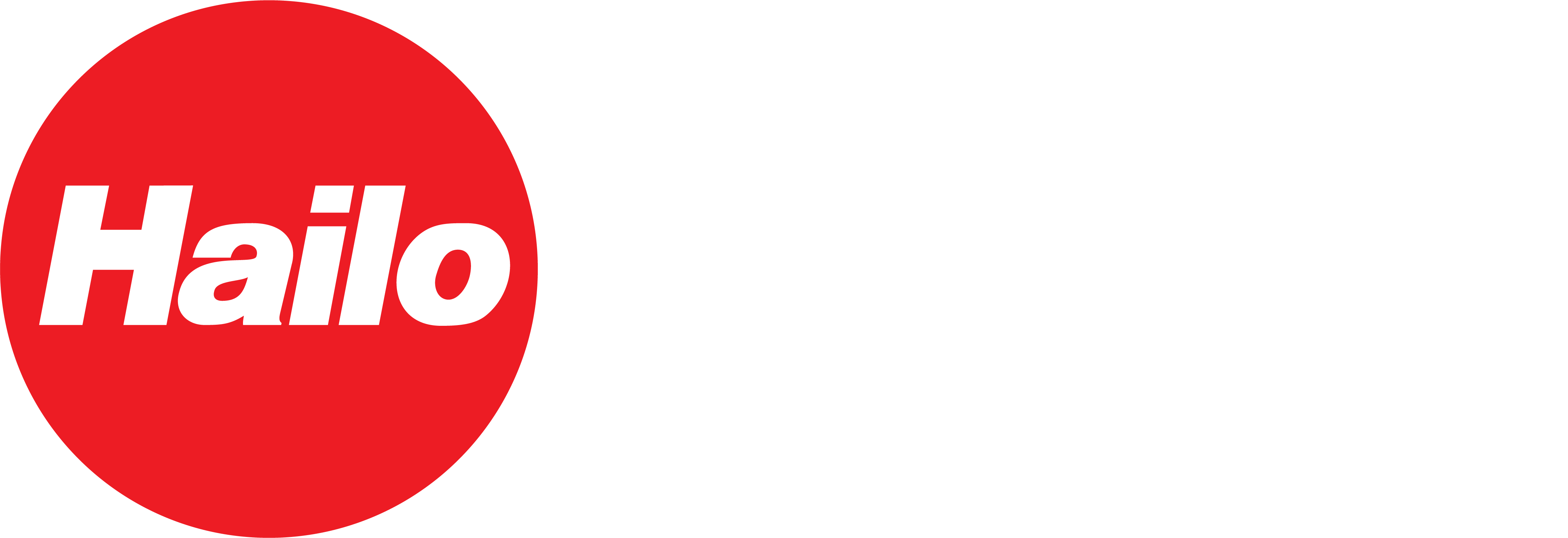 Hailo digital_hub